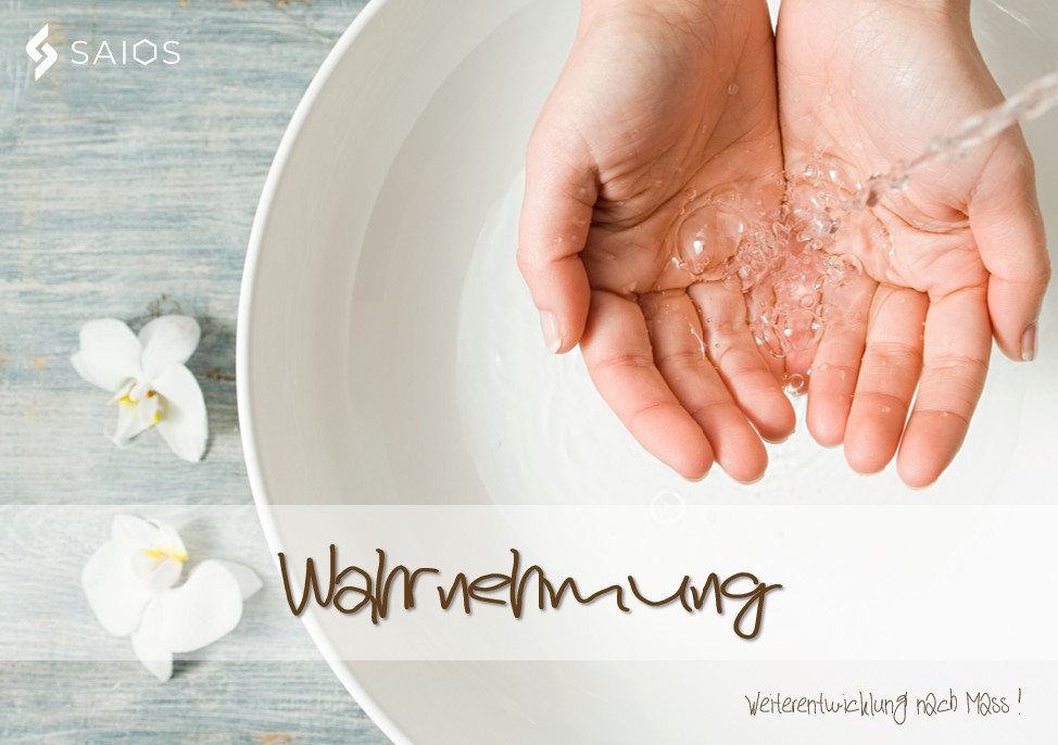 Wahrnehmung