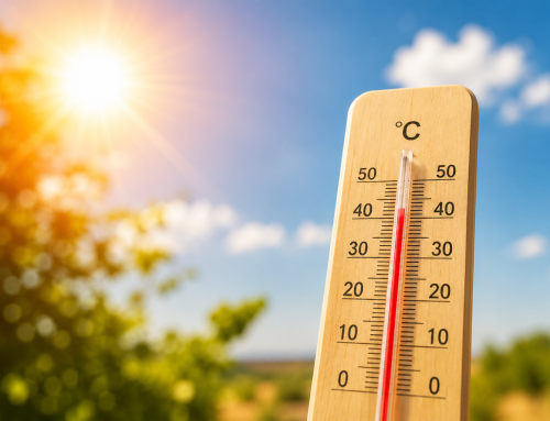 Hitze – wenn der Sommer zum Stressor wird